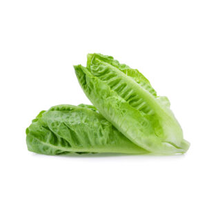 חסה לבבות קיסר (זוג בקופסה), שטוף