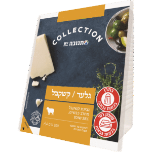 גלעד קצ`קבל