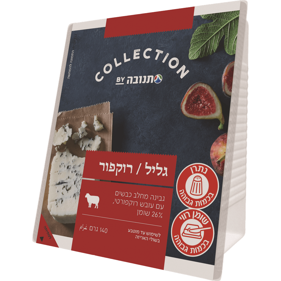 גליל רוקפור