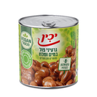 פול יכין
