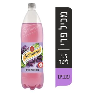 שוופס 1.5+פיקדון