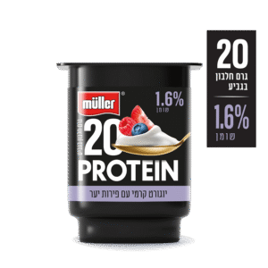 פירות יער אקטיב