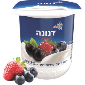 דנונה פירות יער