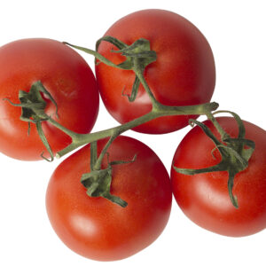 עגבניה מובחרת פרמיום