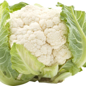 כרובית טרייה