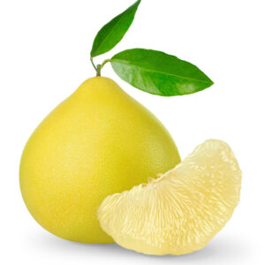 פומלה פרמיום