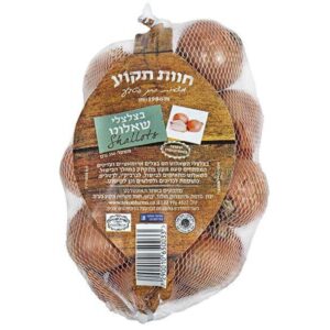 בצלצלי שאלוט