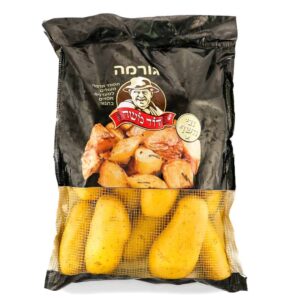 תפו"א גורמה דוד משה בשק