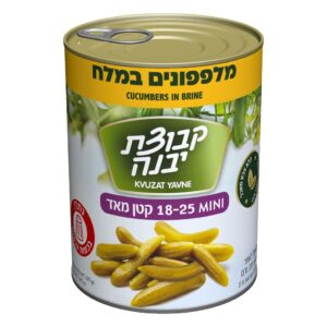 מלפפונים במלח