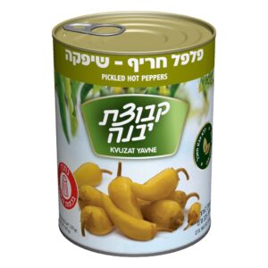 שיפקה קבוצת יבנה
