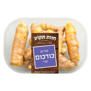 שורש גינגר