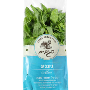 ירק נענע ארוז רגבים