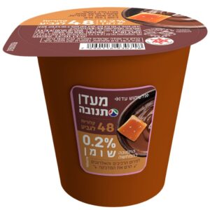 תנובה מעדן דיאט שוקולד וקרמל מלוח 150 גרם