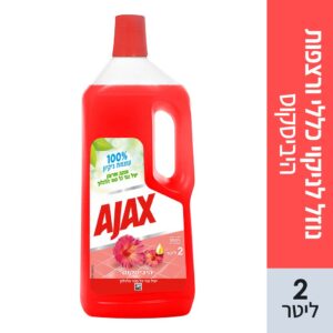 אגקס ניקוי כללי