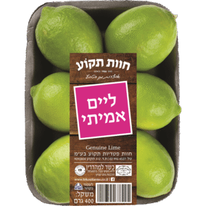 לימון ליים מגש